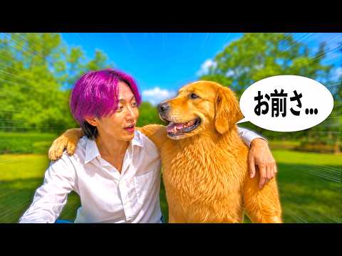 ペットの言葉が分かるようになったらどうなる？【コント】