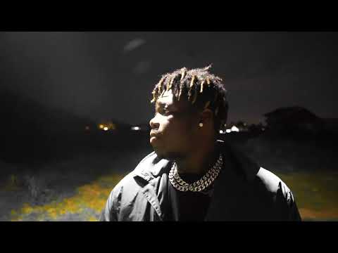 Maracha 01 24 Visualizer II