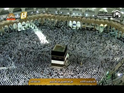 اولین روز مناسک حج با رفتن حجاج به مشعر منی شروع شد