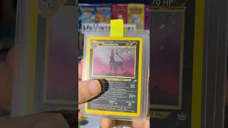 Houndoom and Houndour the cool Pokemon dogs #pokemon #pokemontcg #pokemoncommunity