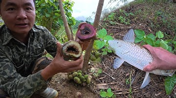 Câu cá và chăm sóc cây cối trong khu vườn, cuộc sống tự nhiên