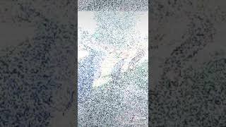 Долгожданная встреча сестёр