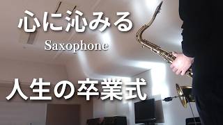 感動の名曲に涙が止まらない【明日への手紙/手嶌葵】