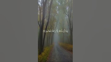 تلاوة قرآن خاشعة القارئ إسلام صبحي | ولقد كتبنا في الزبور من بعد الذكر أن الأرض يرثها عبادي الصالحون