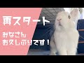 再スタート!ご無沙汰しています!
