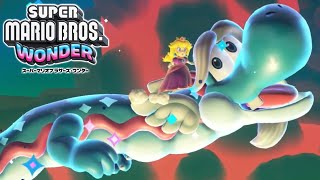 激レア　スーパーマリオランド　ドラゴンザマス 激レア スーパーマリオランド ドラゴンザマス 激レア スーパーマリオ