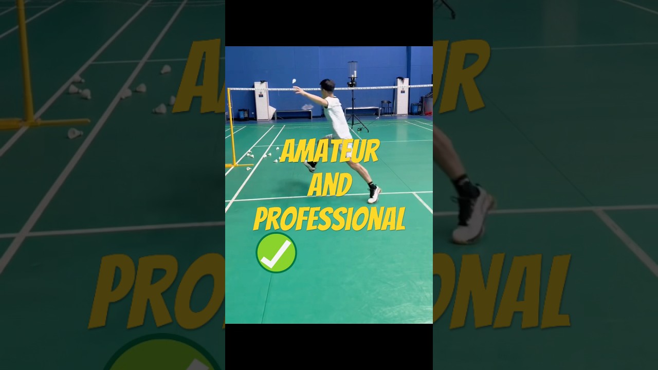 Changes are needed to move towards professional badminton.