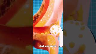 Famous Why Your Earbuds Are GROSS 😱 || #3danimation #shorts Wealth