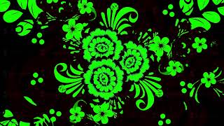 Abstract ornamental digital green floral pattern appearing on black background. Animation. Vintage screenshot 4