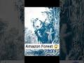 ⚡Fact About Amazon Forest 😱⚡#shortsfeed #facts #amazingfacts