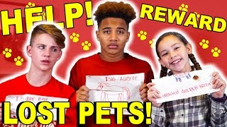 HELP!  LOST PETS!  REWARD IF FOUND!