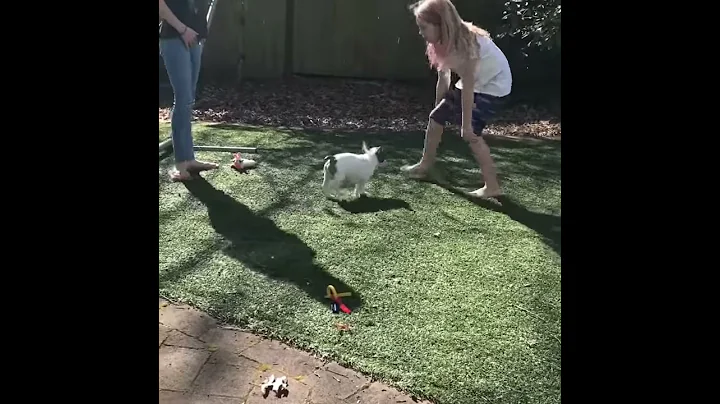 My stick