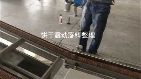 Biscuit automatic horizontal flow packing machine without tray | biscuit on-edge packing machine