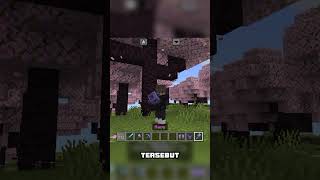 Auto enchanted??? #minecraft #mcpe #minecraftbedrock