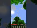 MINECRAFT SI E' ROTTO