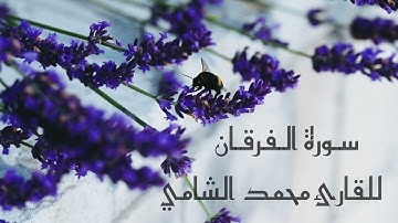 تلاوة من صلاة التراويح لسورة الفرقان بصوت القارئ محمد بن عبدالعزيز الشامي