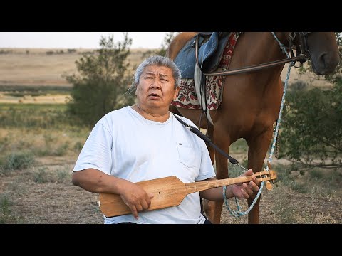 Video: Кевин Ричардсон - сүйүүсү жапайы жаныбарларды багындырган адам