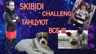 SKIBIDI CHALLENGER - ТАНЦУЮТ ВСЕ ОТ ЖИВОТНЫХ ДО БОЛЬШИХ / ПАРОДИЯ / СКИБИДИ SKIBIDI CHALLENGER - ТАНЦУЮТ ВСЕ ОТ ЖИВОТНЫХ ДО БОЛЬШИХ / ПАРОДИЯ / СКИБИДИ
