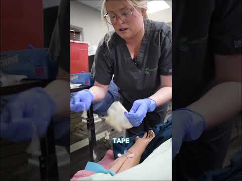 Watch a Caris Nursing Student Start an IV Like She Has Done It a Thousand Times