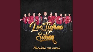 Video thumbnail of "Los Tigres del Sabor - Mix Despecho"