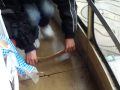 Richie Rich cleaning up the water