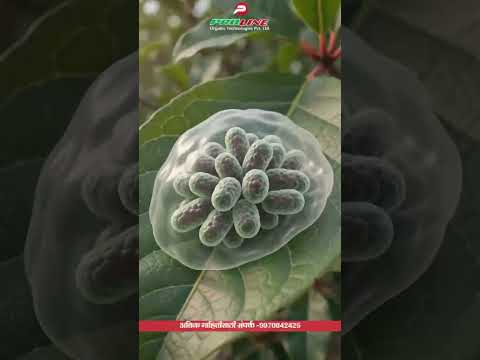 Fertilizer Promo 10