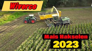 Mais Hakselen 2023  Wiverco  Krone Big X  1180 met 12 rijen  BIGGEST OF THE WORLD !!!