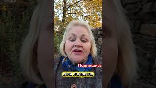 Работа онлайн в интернете с любой точки мира #заработатьвинтернете