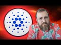 Cardano ada founder speaks out