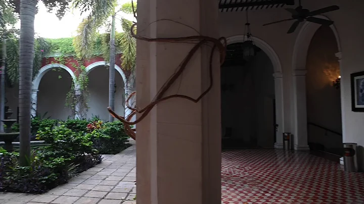 THE VILLA MERIDA