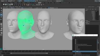 Rigging a Photorealistic Head for Performance Capture - Mirroring Blend Shapes (8/13)