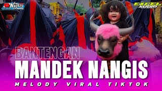 DJ BANTENGAN || MANDEK NANGIS || GEDRUK PINDO EXCEL AUDIO from ALFARIZQI PRODUCTION