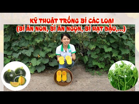 Video: Vịt lửa (vịt đỏ) trông như thế nào? Vịt Ogar: ảnh