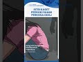 Istri di NTT Kaget Pergoki Suami Perkosa ODGJ di Belakang Rumah, Ternyata Dilakukan Berkali-kali
