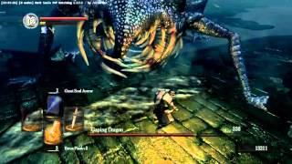 Gaping Dragon Defeated (Sorcerer Class Challenge)