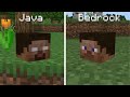 Minecraft Java Edition vs Bedrock Edition