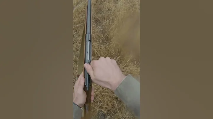 Squirrel Bag limit with 410 Shotgun