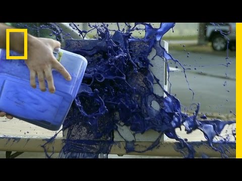 Ever Dry?  Never Shy | National Geographic