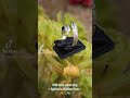 #925sterlingsilver #925silver #silverring #stone_flow_vibes