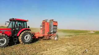 Kıraç Topraklardan Bereket Fışkırıyor