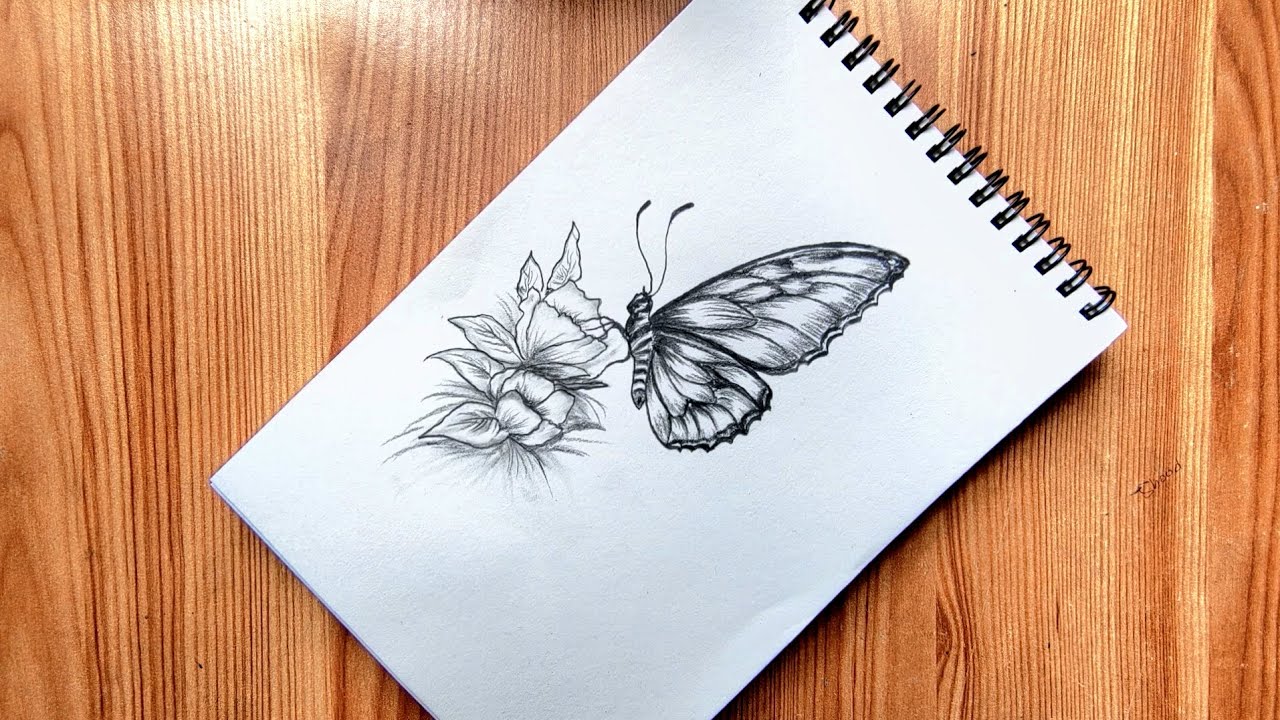 How to draw a butterfly sitting on flower ||how to draw butterfly ||pencil sketch drawing 