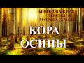 Кора Осины💎Биорезонансная терапия БРТ+ Матрица Гаряева🎧Aspen Bark💎BRT + MG