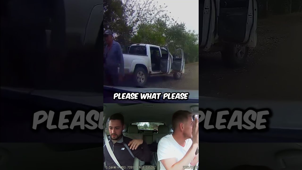 Tourists Ambushed By Cartel While Birdwatching In Mexico 