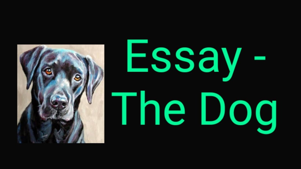 dog essay in hindi and english