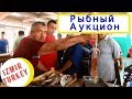 Рыбный аукцион в Измире, Турция - здесь продают самую свежую рыбу дешево mavişehir balıkçı barınağı