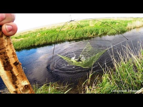 Рыбалка на паук.Подъёмник в микроречке. За Сибирскими дикими сазанами.