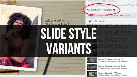 Style Variants in Photopia
