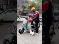 Stray Puppy Chooses Him… What Happens Next Will Melt Your Heart 🥺 #shorts