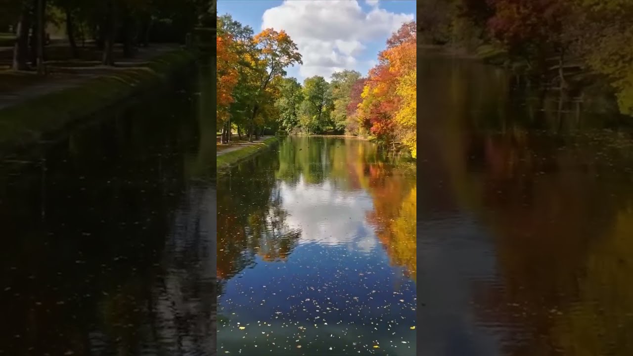 Serene Nature Escape: Crystal Lake, Autumn Trees & Relaxing Music | Sky Relaxation