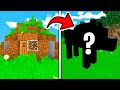 TRASFORMO LA CASA DI UNO YOUTUBER SU MINECRAFT! - MINECRAFT CASE